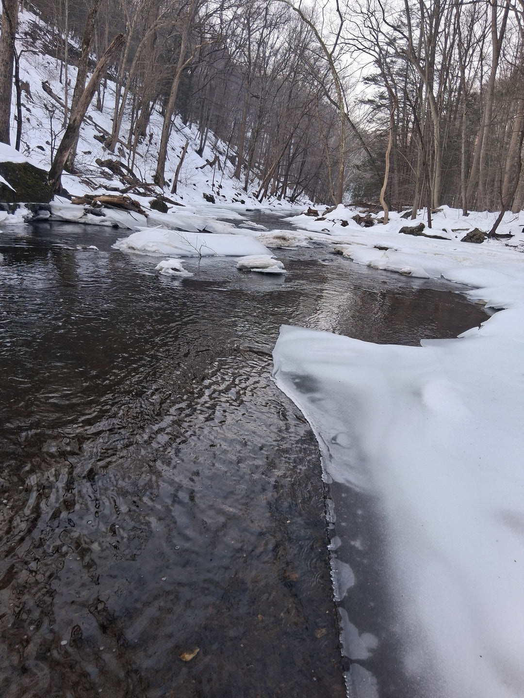 Week of February 15th: Can We Fish Yet?