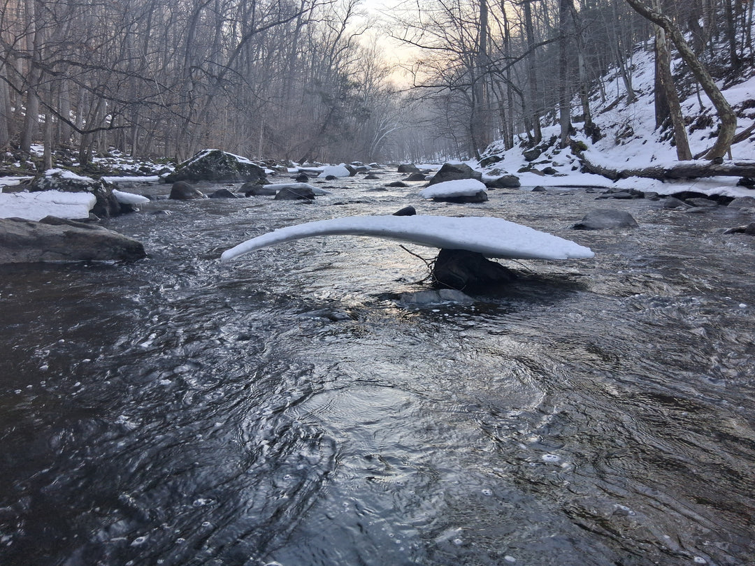 Week of March 1, 2026: Tug of Weather