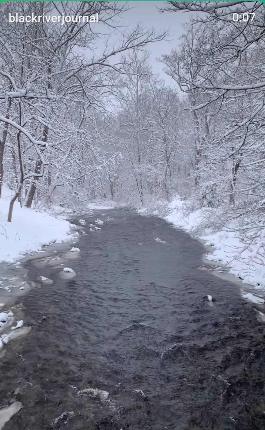 Week of February 23rd, 2026: Just when you thought it was safe to go back in the river