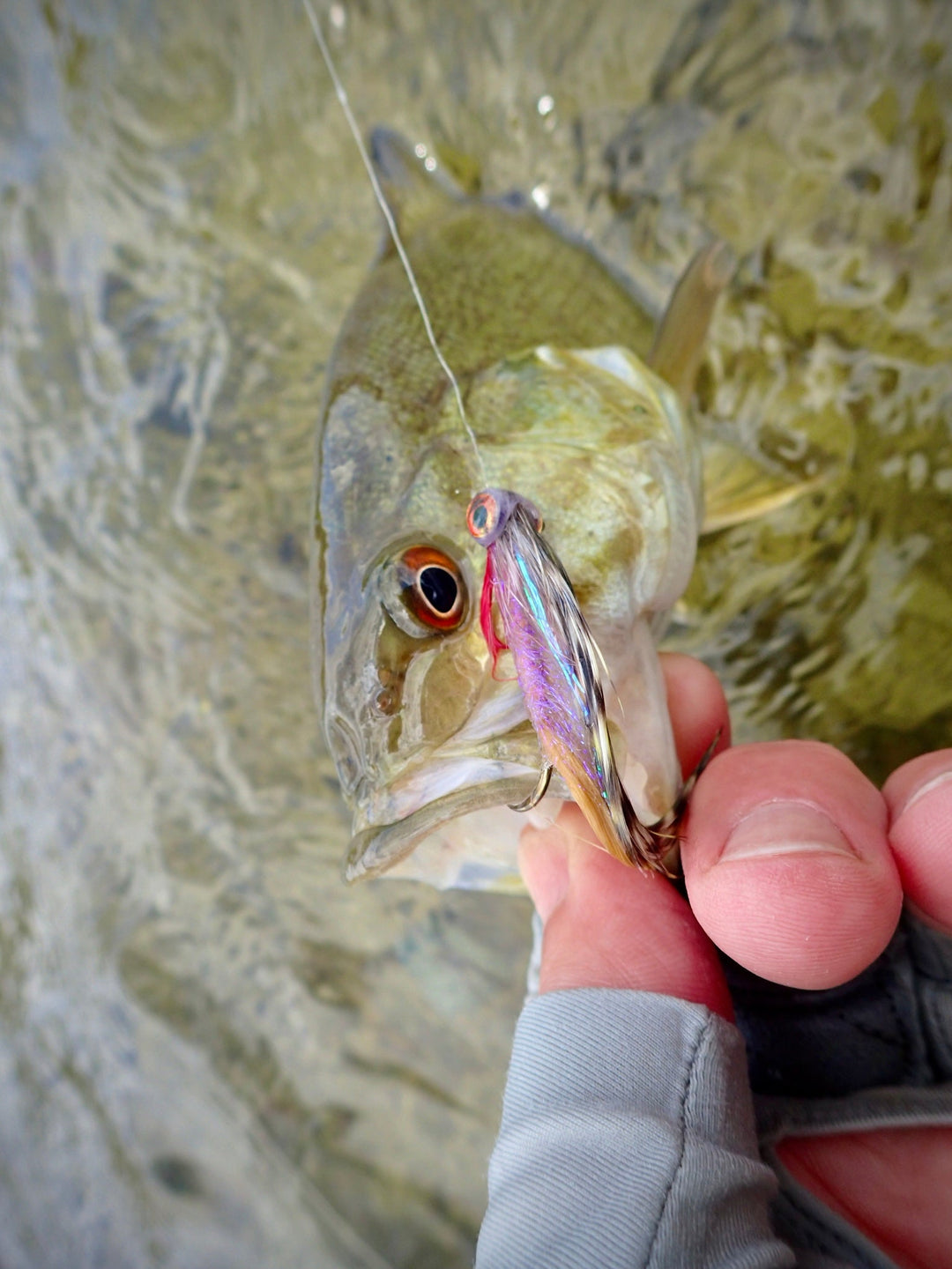 Week of June 14, 2026: Panfish and bass tactics