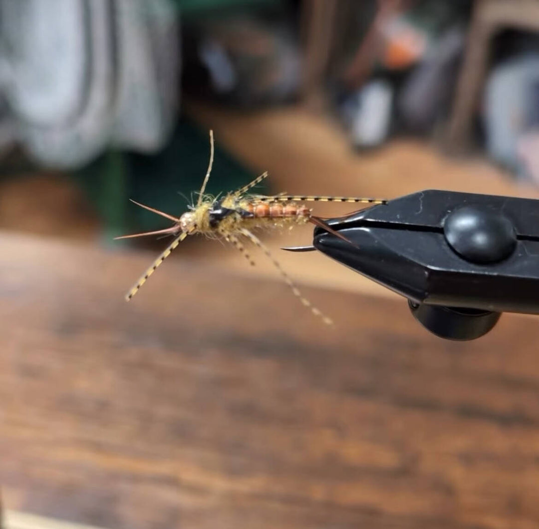 Week of July 12th 2025: Bass on the Fly