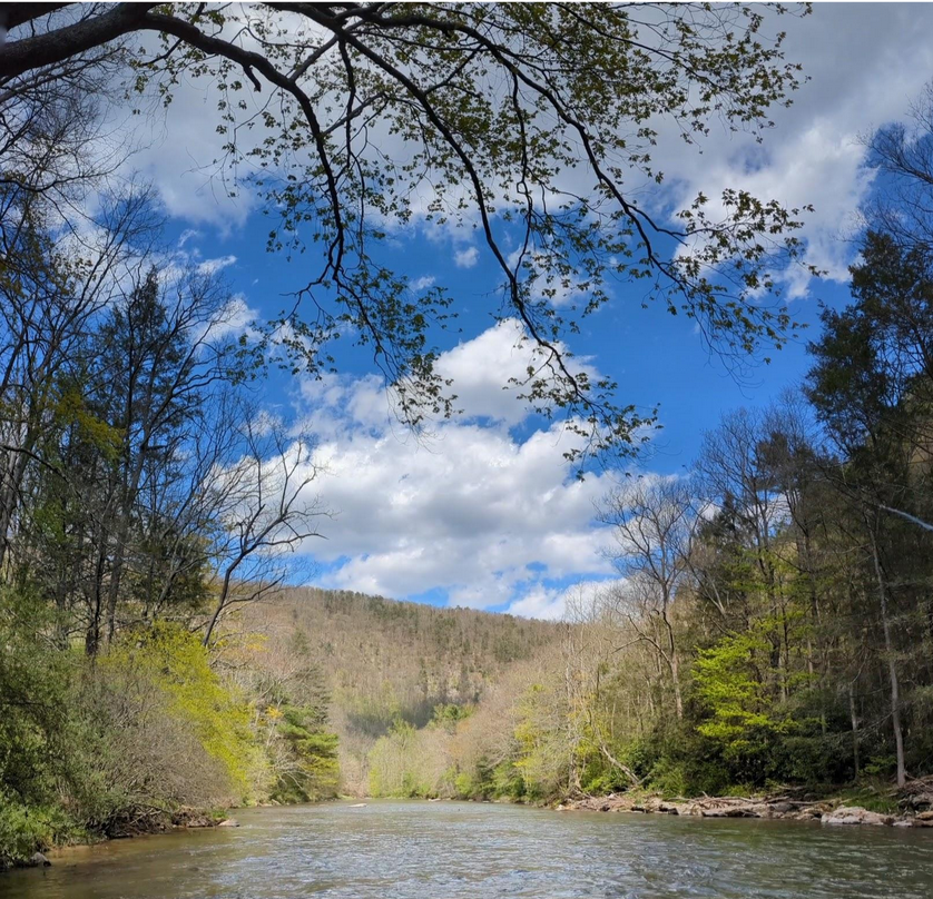 river scene with clouds and trees