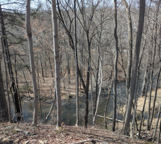 Week of March 23rd 2025: Spring Swings