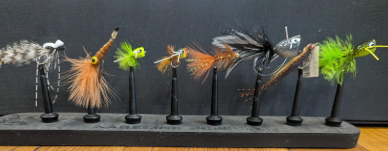 Week of June 29th 2025: Summer Flies