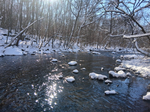 Week of December 14th 2025: Snow Day