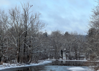 Week of February 2nd 2025 - Magic Marmots