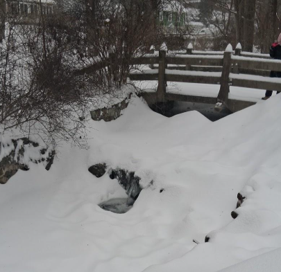 Week of January 25, 2026: Blizzard 2026