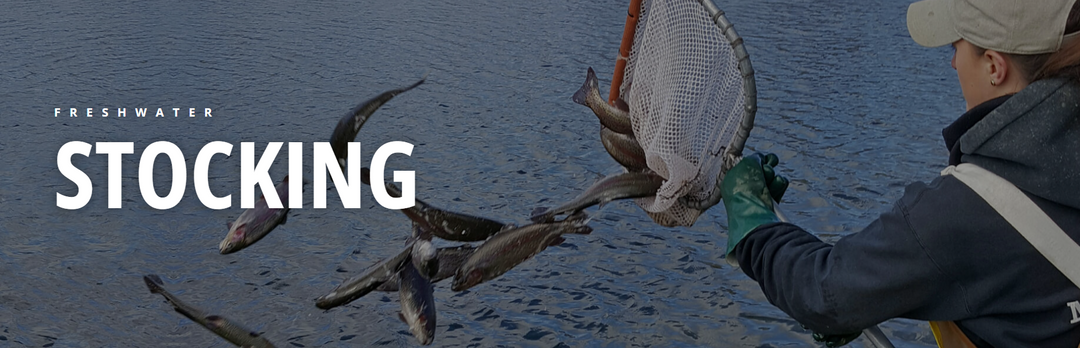 Week of Oct. 11, 2026: Fall Fishing Begins!