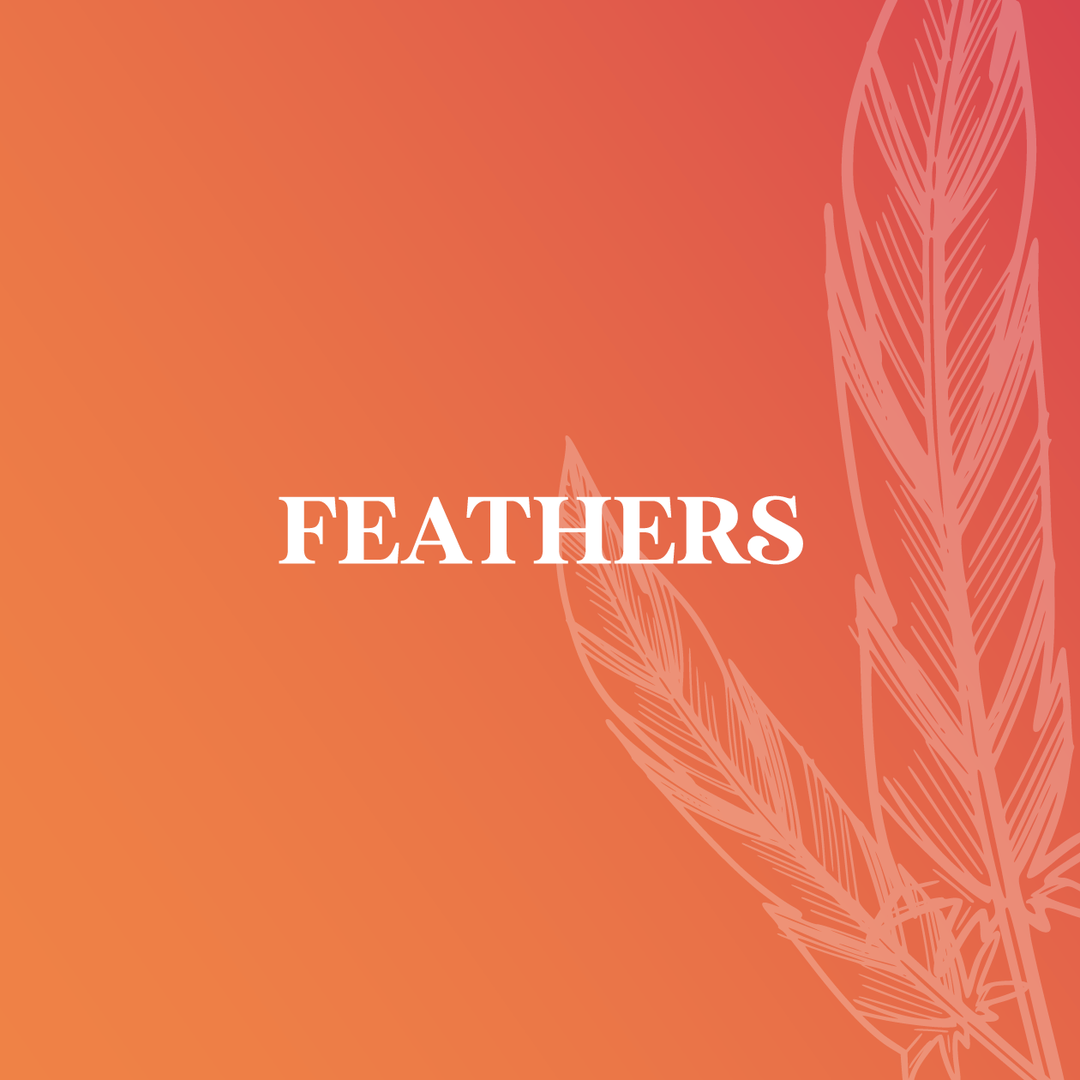 Hackle/Feathers/CDC/Marabou