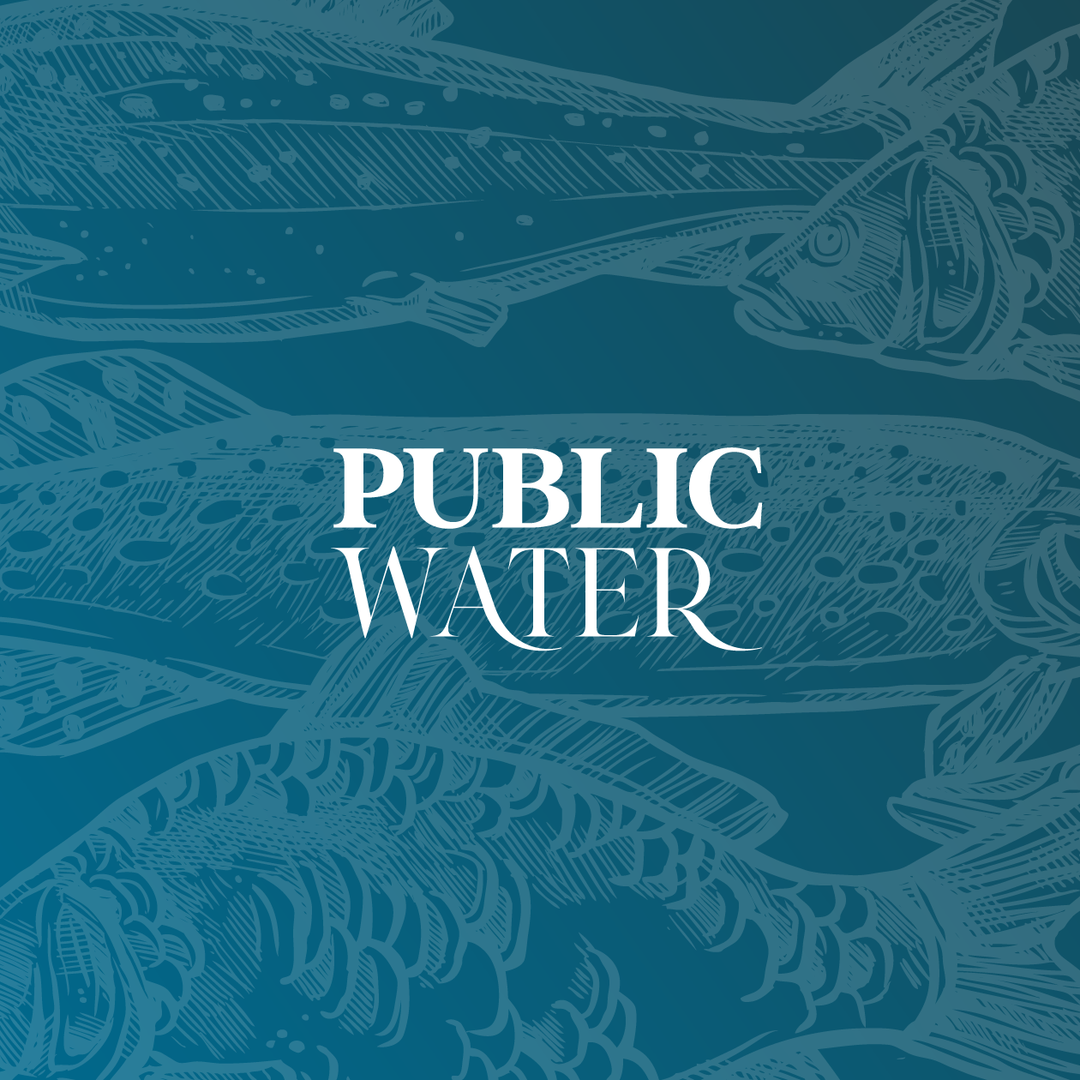 Public Water Guided Fishing