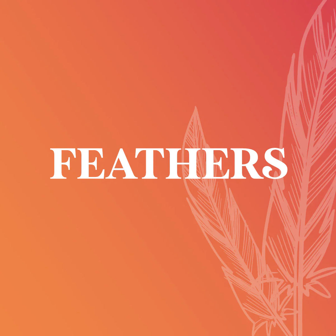 Hackle/Feathers/CDC/Marabou