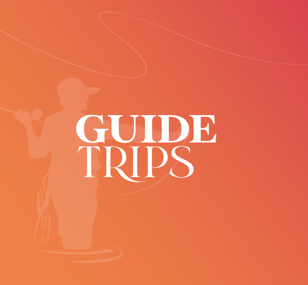 Guide Trips 