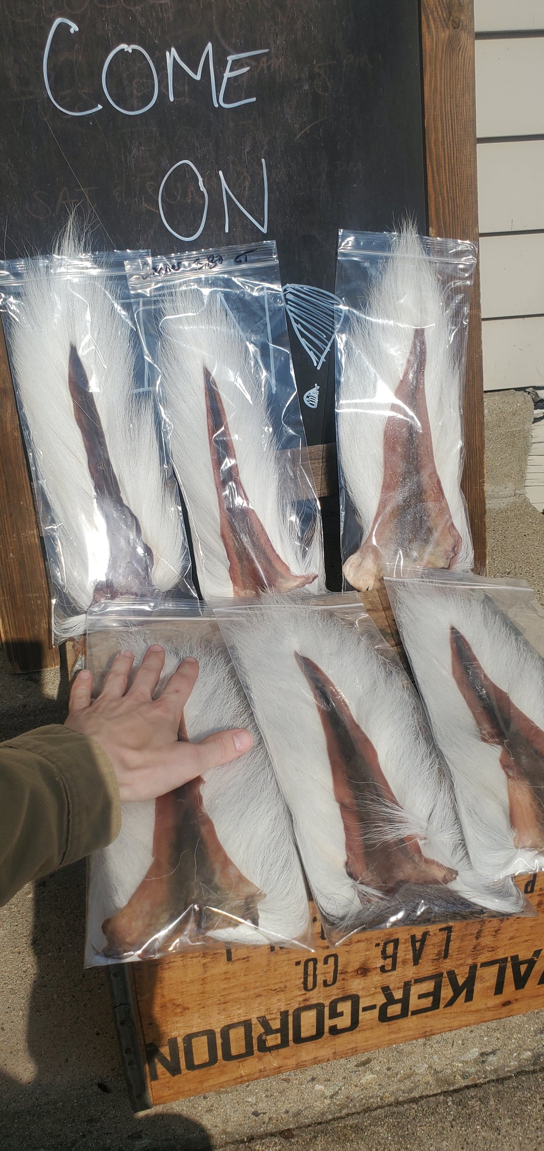 Lateral Lines Premium Northern Bucktail
