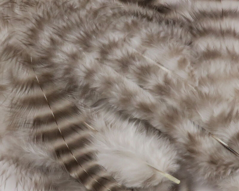 Grizzly Soft Hackle (Hareline)
