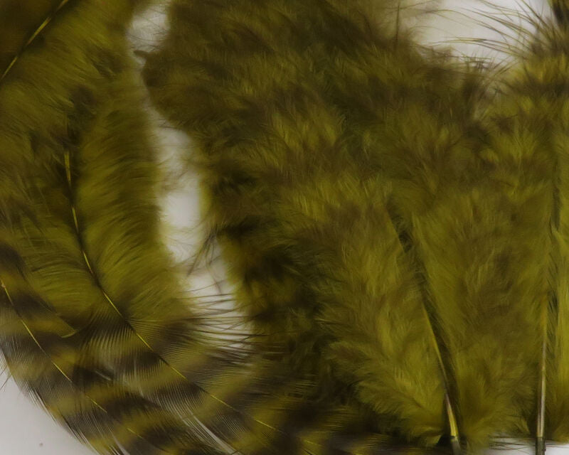 Grizzly Soft Hackle (Hareline)