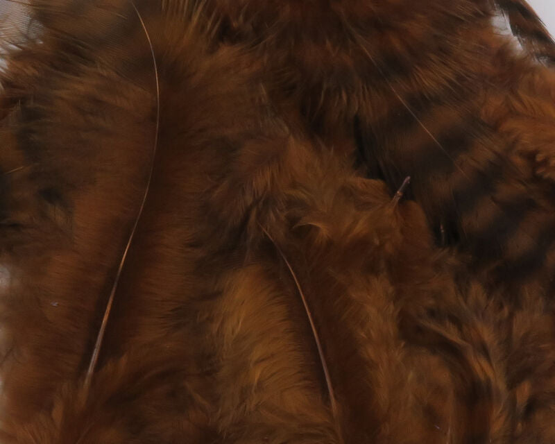 Grizzly Soft Hackle (Hareline)