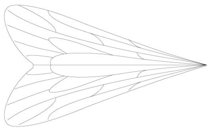 Pro Caddis Wings