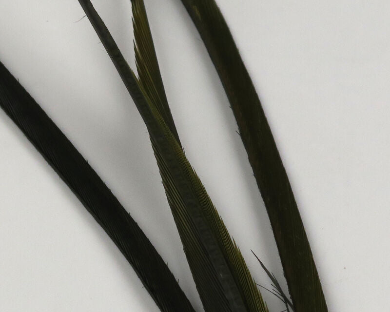Stripped Goose Biots (Hareline)