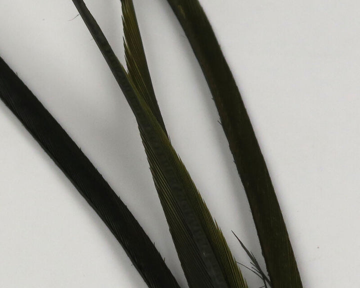 Stripped Goose Biots (Hareline)