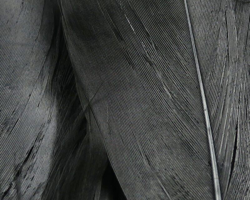 Select Goose Shoulder (Hareline)