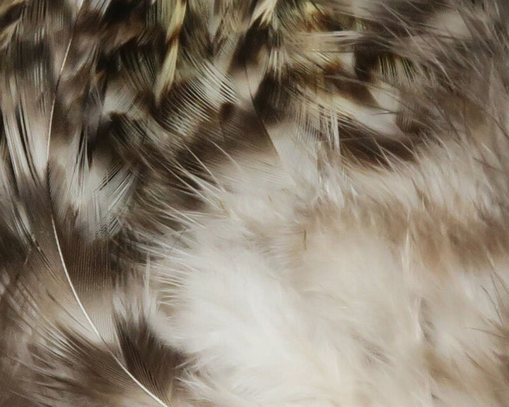 Strung Grizzly Variant Saddle Hackle
