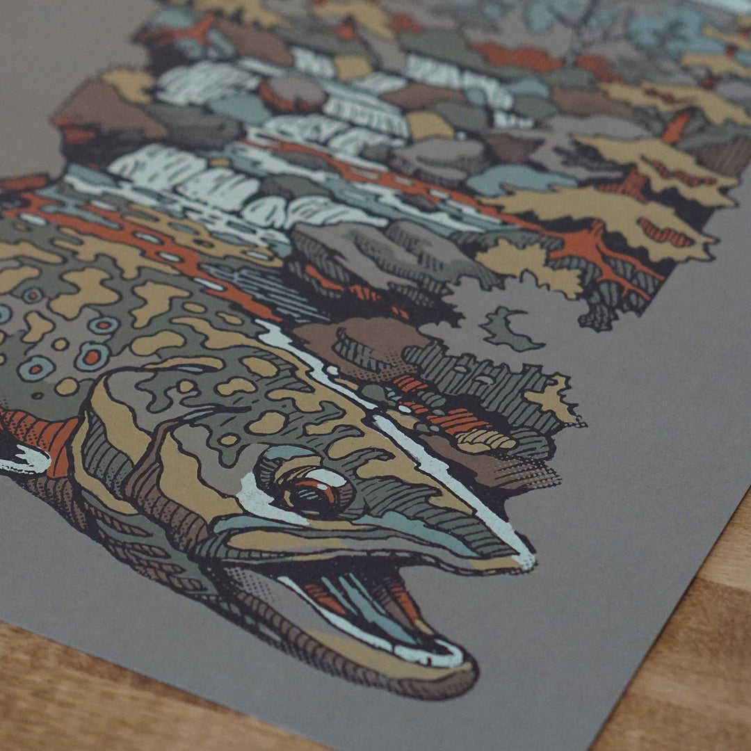 Lakes Rivers Streams Trout Waters Print - Brook Trout Waters 2.0