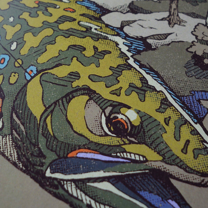 Lakes Rivers Streams Trout Waters Print - Brook Trout Waters