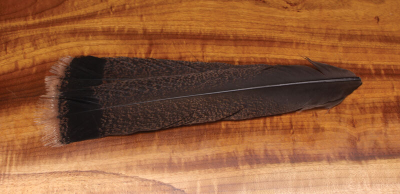 Cinnamon Tip Turkey Tail Feathers (Hareline)