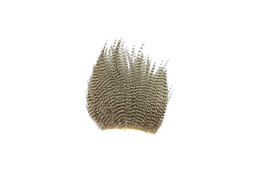 Goose Quill