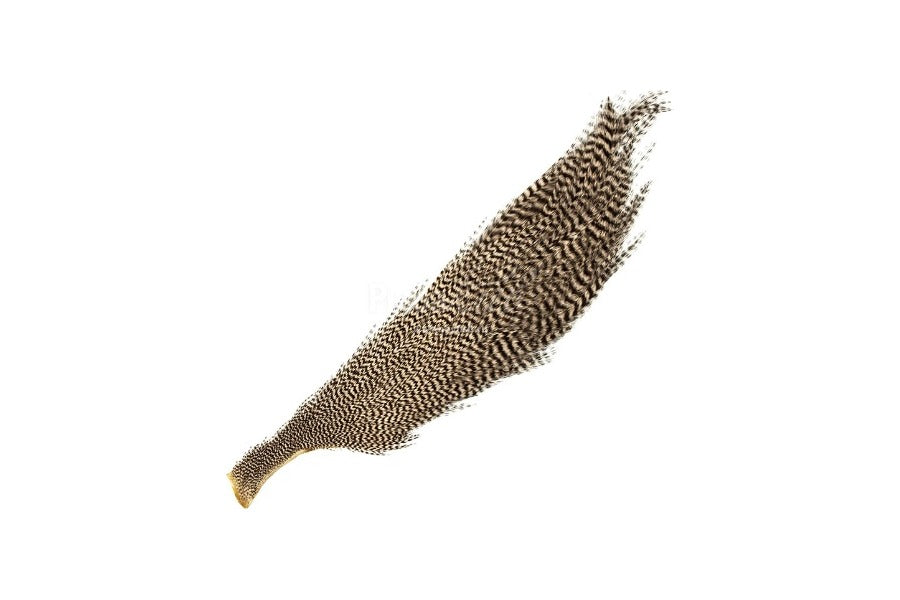Hen Neck