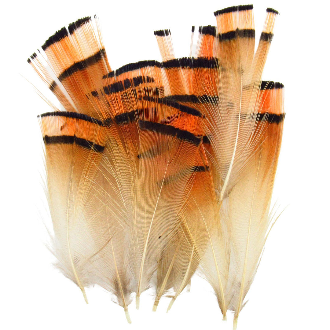 Wapsi Golden Pheasant Tippets Large