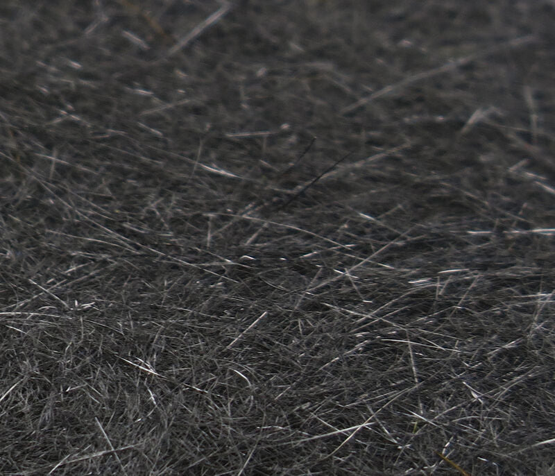 Squirrel Hair Dubbing