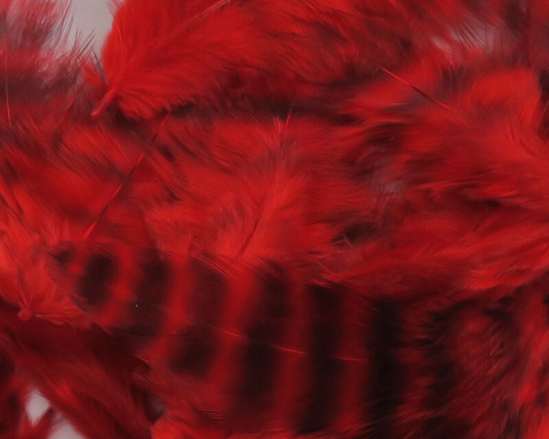 Grizzly Soft Hackle (Hareline)