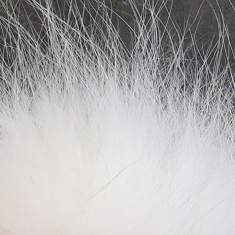Arctic Fox Fur (Hareline)