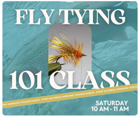 Screenshot 2025-09-22 154931.png