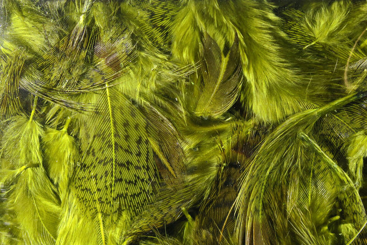 Premium Hungarian Partridge Feathers (Hareline)