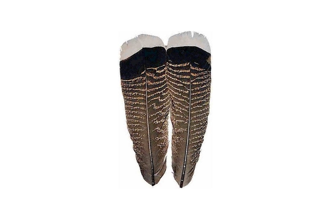 Prime Mixed Waterfowl Flank Natural