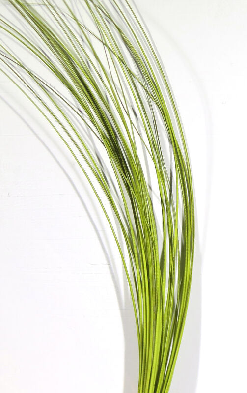 Quill Body (Hareline)