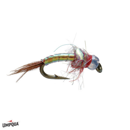 Rainbow Warrior Egan - Pearl