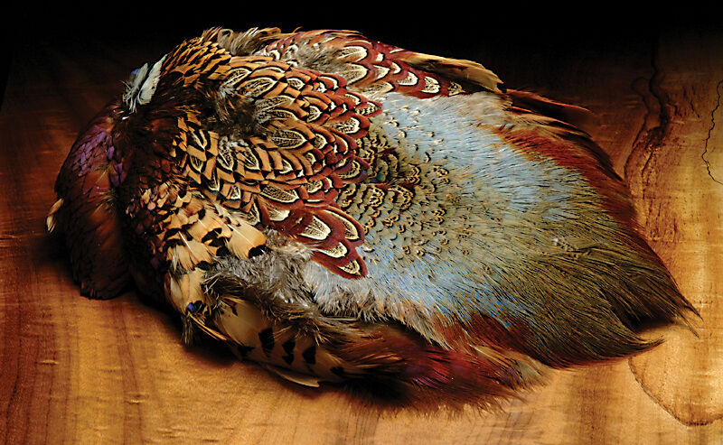 Ringneck Pheasant Skin (Hareline)