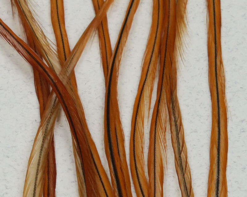 Keough's Saddle Value Pack