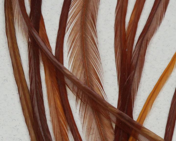 Keough's Saddle Value Pack