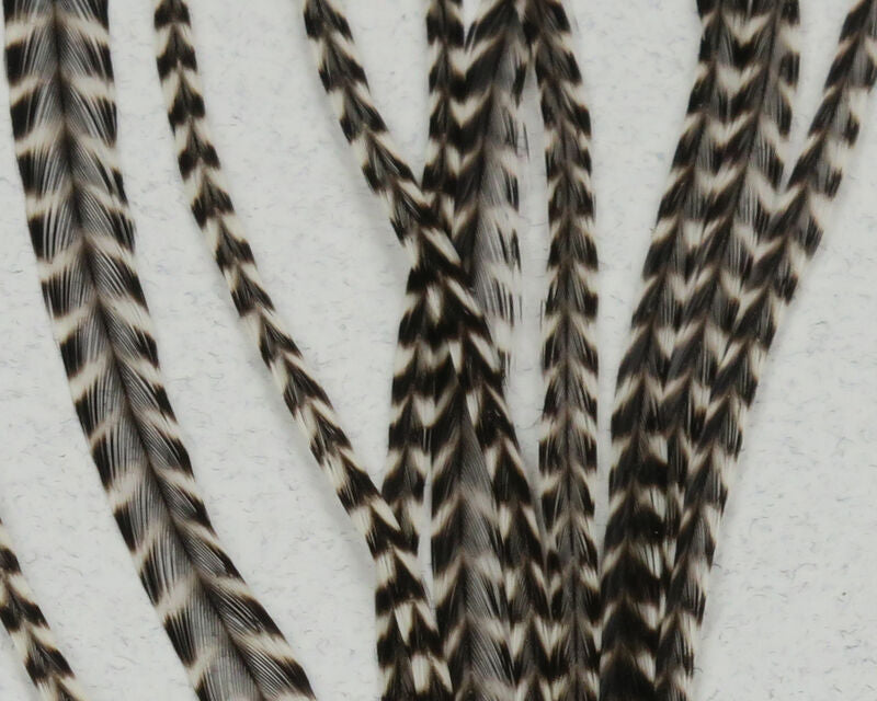 Keough's Saddle Value Pack