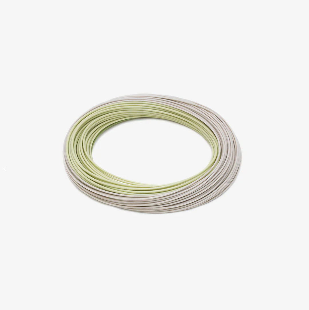 Rio Premier Lightline