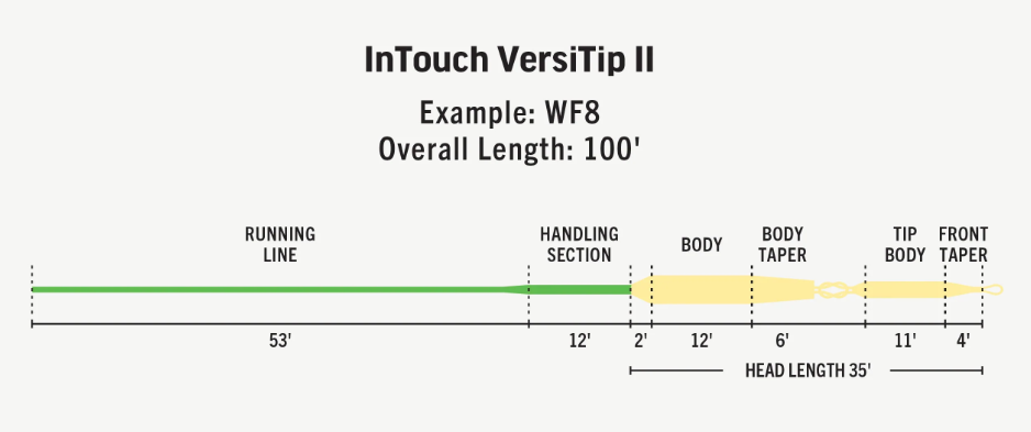 Rio InTouch VersiTip II