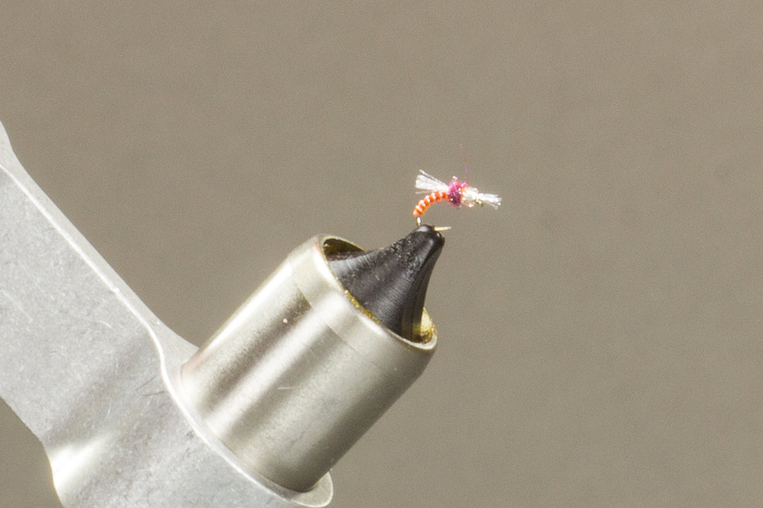 Peak Midge Jaw