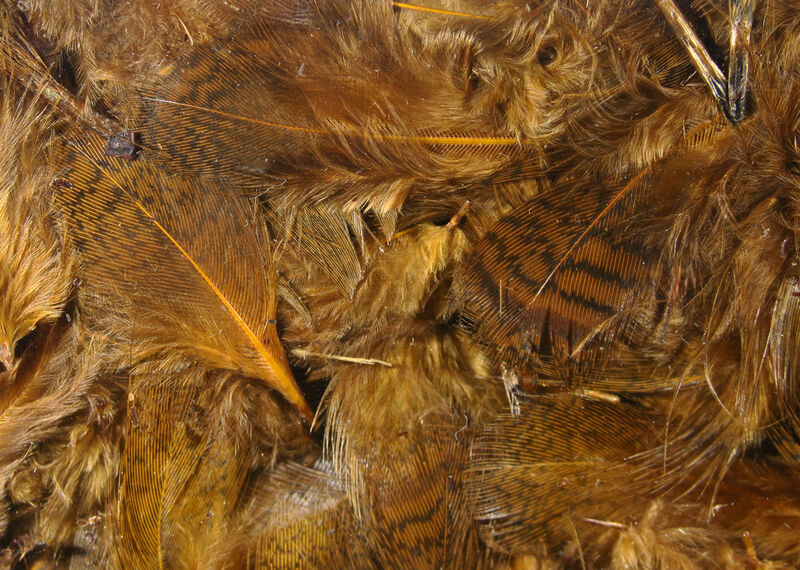 Premium Hungarian Partridge Feathers (Hareline)