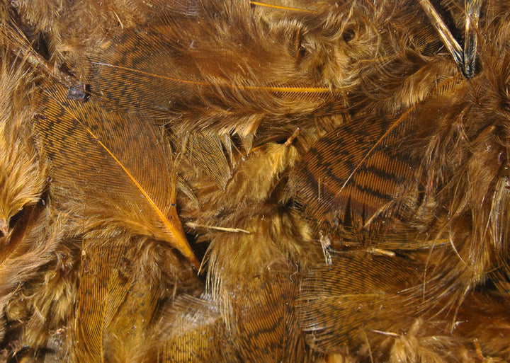 Premium Hungarian Partridge Feathers (Hareline)