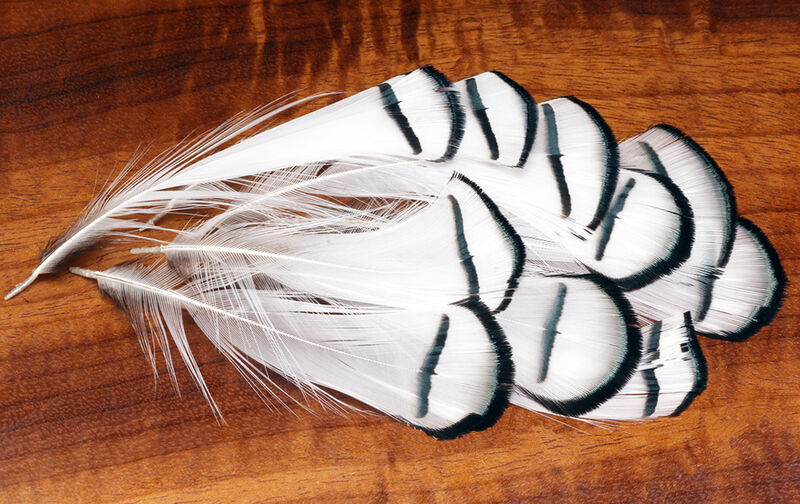 Lady Amherst Pheasant Tippets (Hareline)