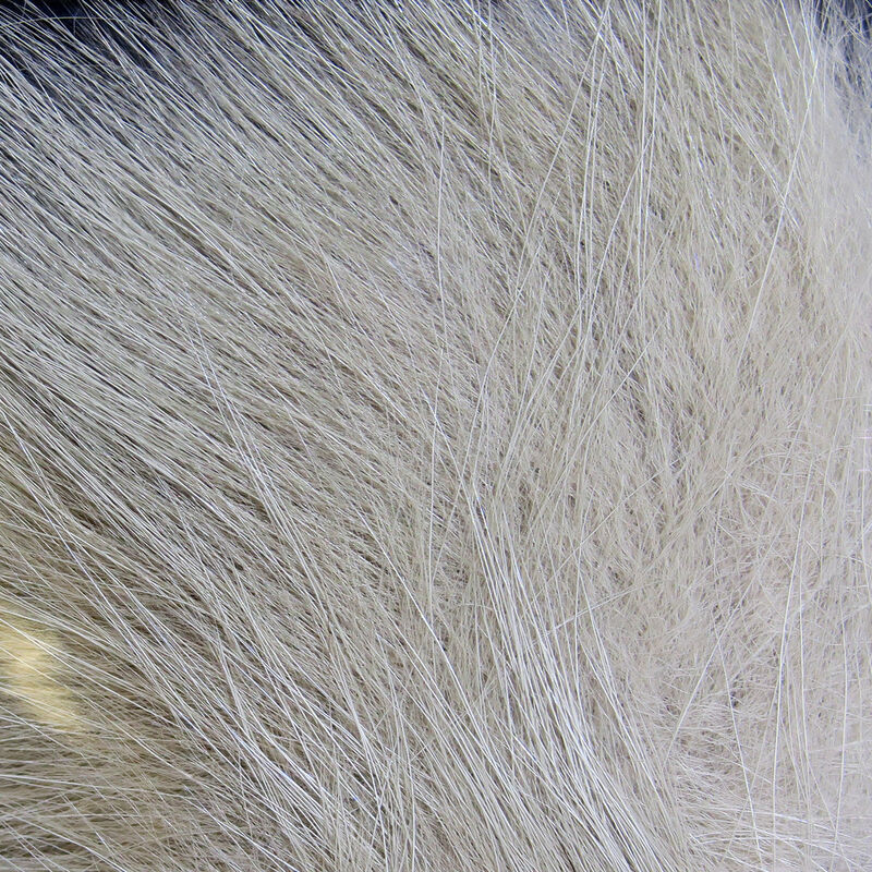 Arctic Fox Fur (Hareline)